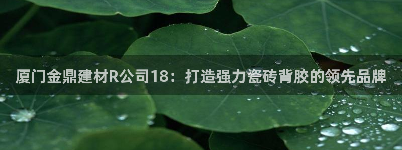 杏鑫娱乐多少年了
