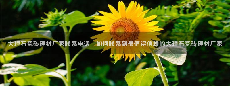 杏鑫官方平台怎么样可靠吗