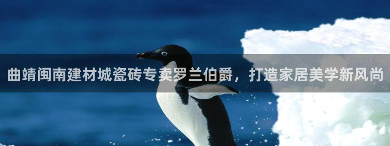 杏鑫平台野马联盟怎么样