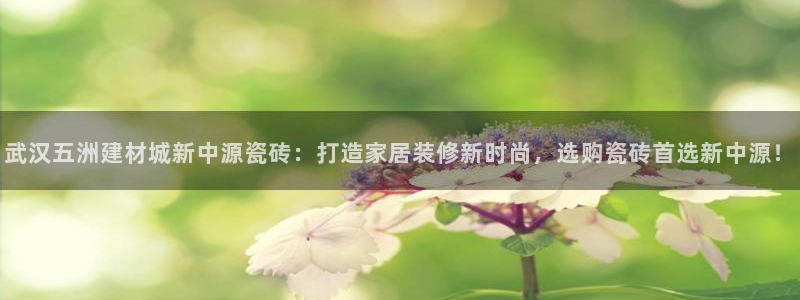 杏鑫手机客户端