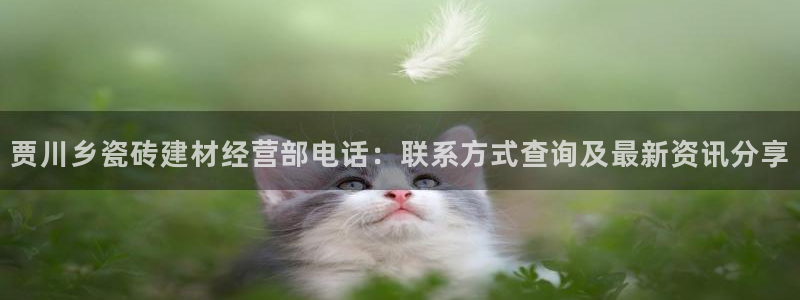 杏鑫平台直属哪个公司