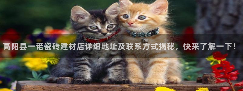 杏鑫平台代理怎么样啊