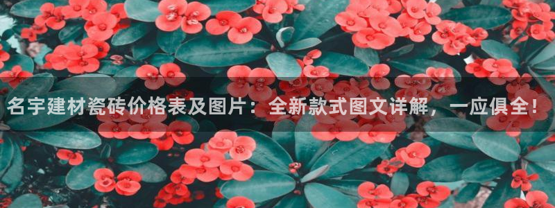 杏鑫娱乐开发团队