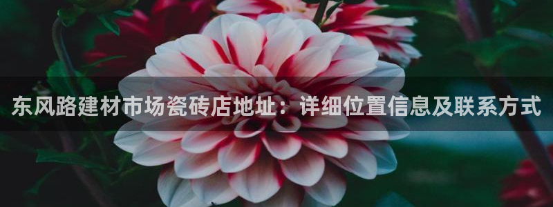 杏鑫官方平台怎么样