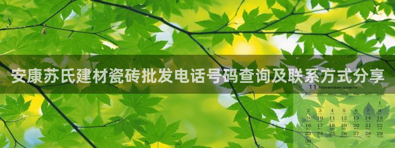 杏鑫平台直属