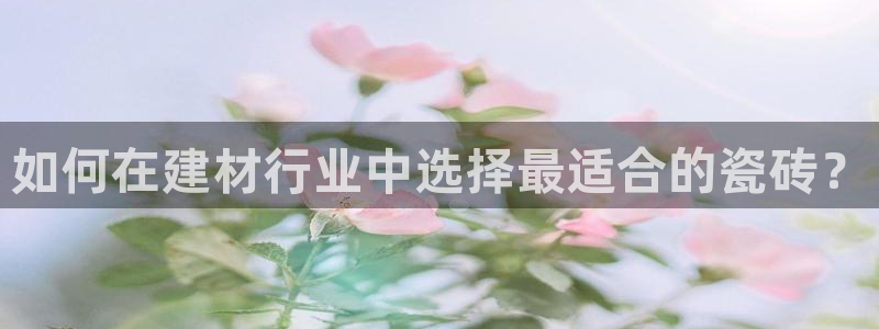 杏鑫平台直属