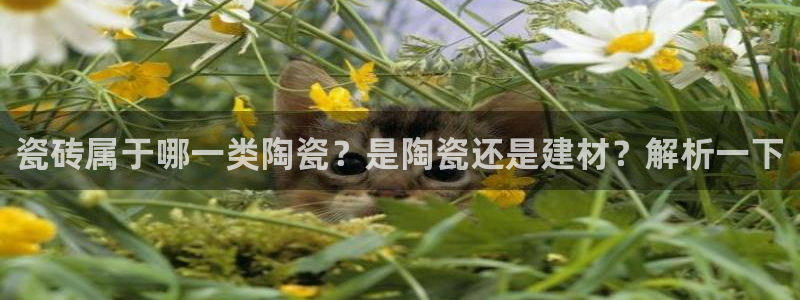 杏鑫官网