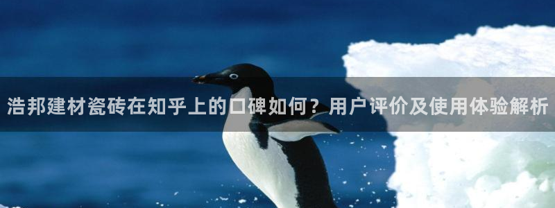 杏鑫平台招商电话号码是多少