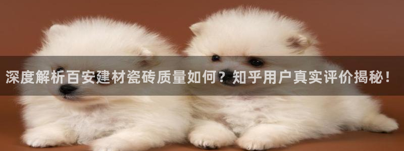 杏鑫官方平台怎么样