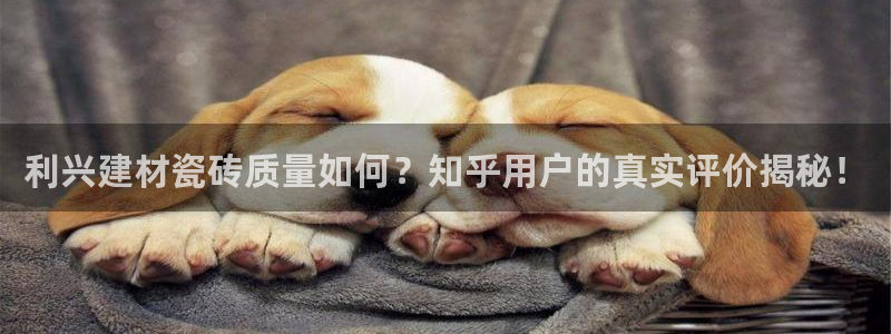 杏鑫官网