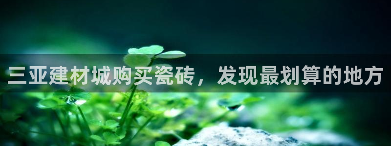 杏鑫平台提供