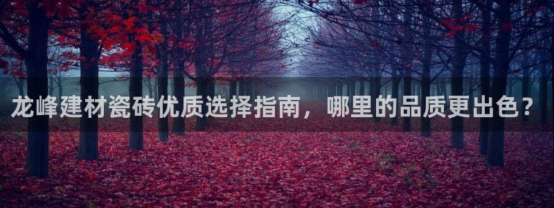 杏鑫平台招商怎么样啊