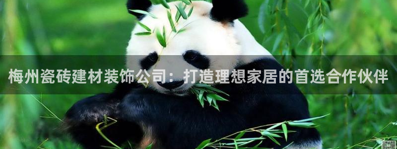 杏鑫平台怎么样黑钱吗安全吗是真的吗