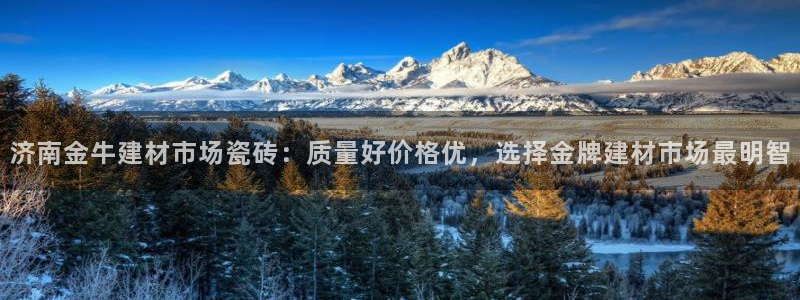 杏鑫手机客户端