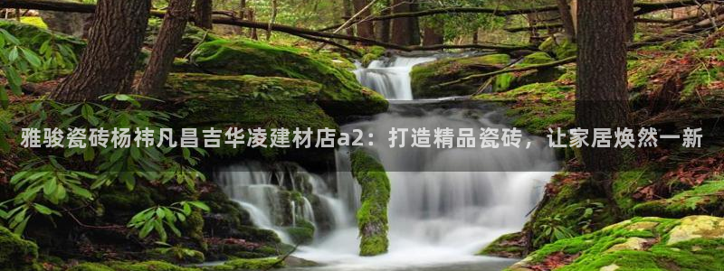 杏鑫平台怎么样知乎