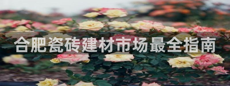 杏鑫平台代理怎么样可靠吗
