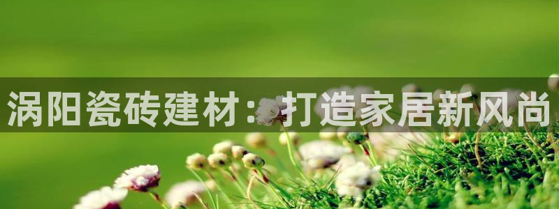 杏鑫代理注册资金多少