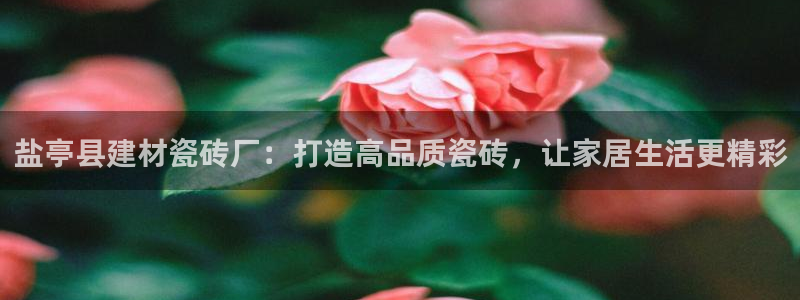杏鑫官网注册账号密码
