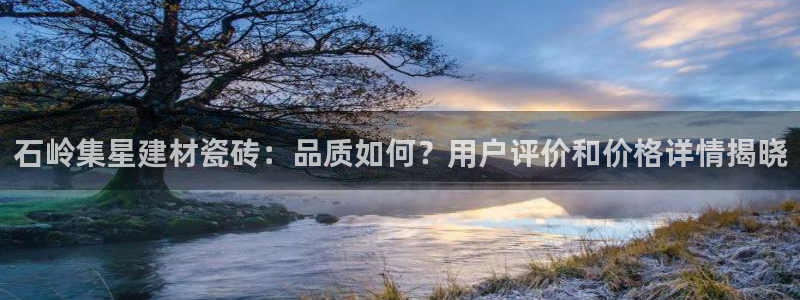 杏鑫有亏损返点吗