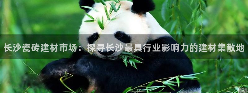 杏鑫平台在线注册怎么注册