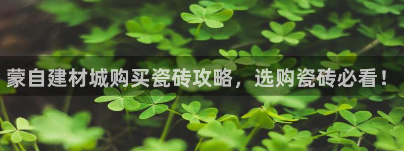 杏鑫平台代理注册多少钱一年