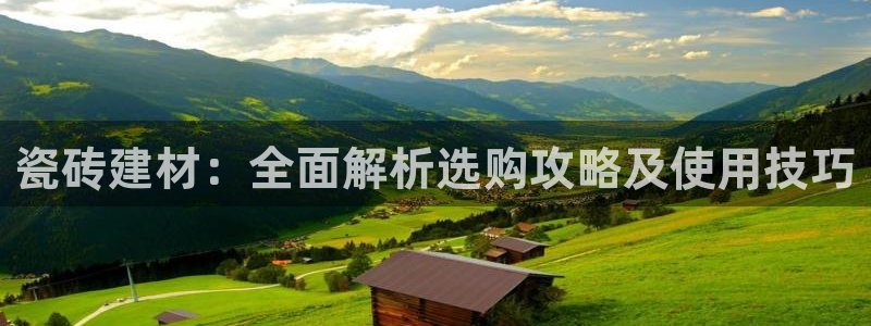 杏鑫官方平台怎么样啊安全吗