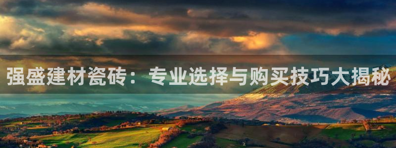 杏鑫代理注册资金多少