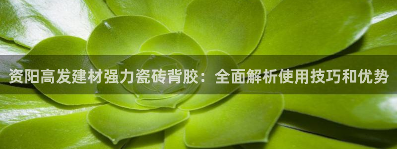 杏鑫娱乐靠谱吗
