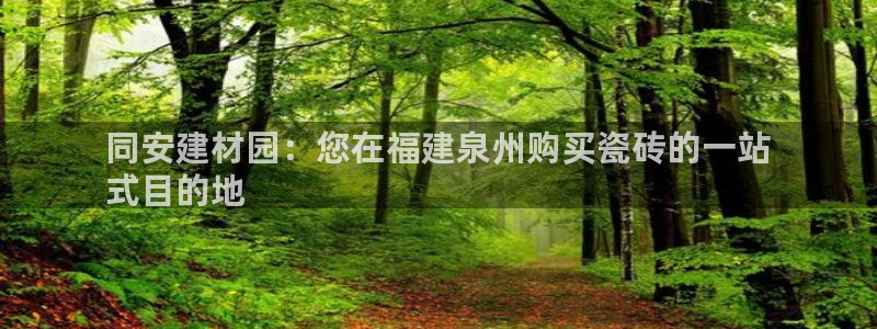 杏鑫平台代理注册流程视频