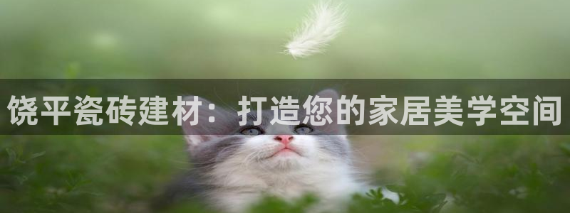 杏鑫官方平台怎么样