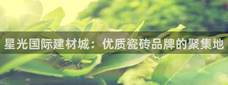 杏鑫官方平台怎么样啊知乎