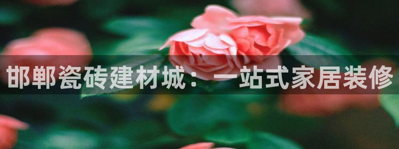 杏鑫3主管