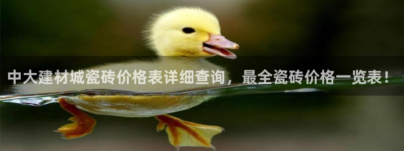 杏鑫平台平台