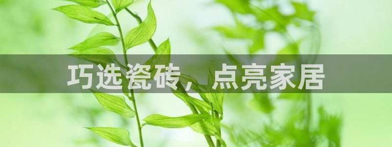 杏鑫平台代理注册登录不了怎么办呀