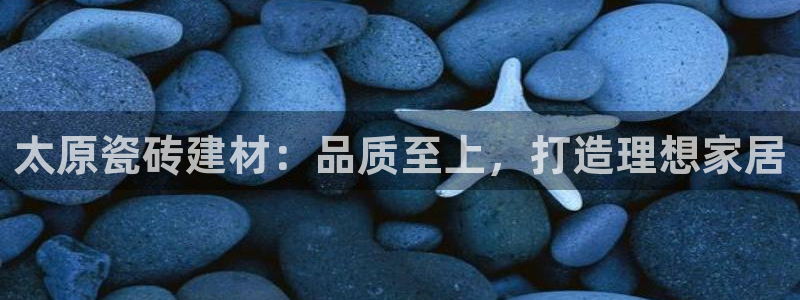 杏鑫手机客户端怎么下载