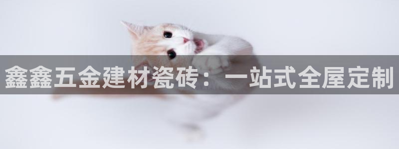 杏鑫注册登录