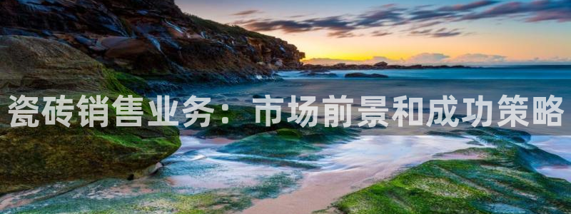 杏鑫平台代理注册流程图
