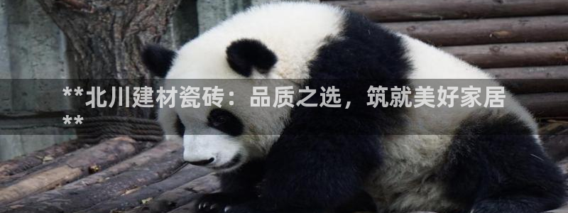 杏鑫平台代理怎么做的
