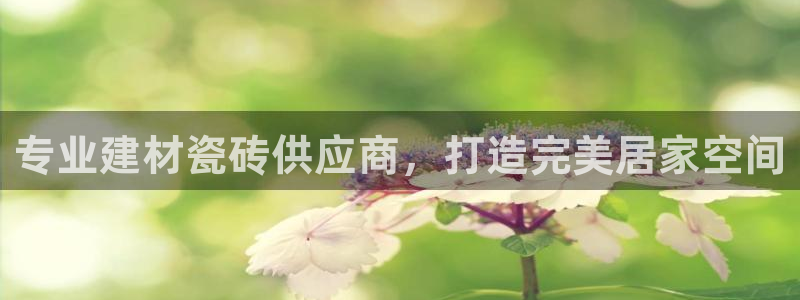 杏鑫平台线路测速