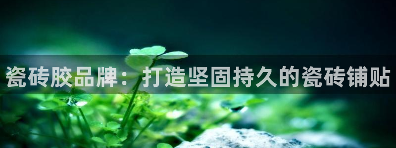 杏鑫平台野马联盟怎么样