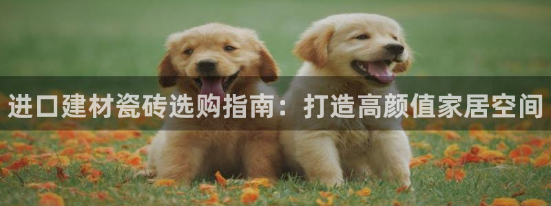杏鑫平台怎么样黑钱吗
