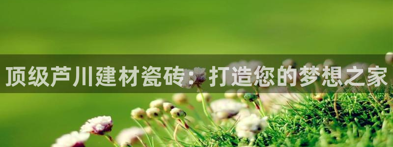 杏鑫娱乐怎么样
