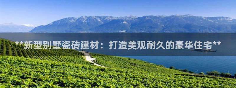 杏鑫招商总代