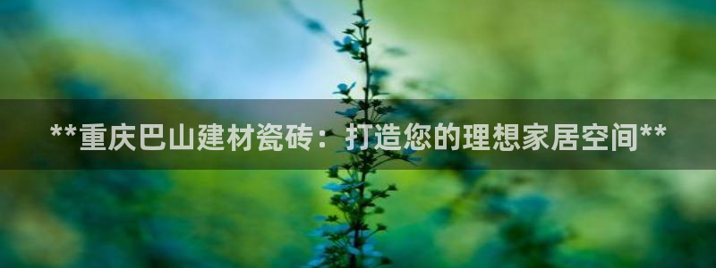 杏鑫娱乐开发团队