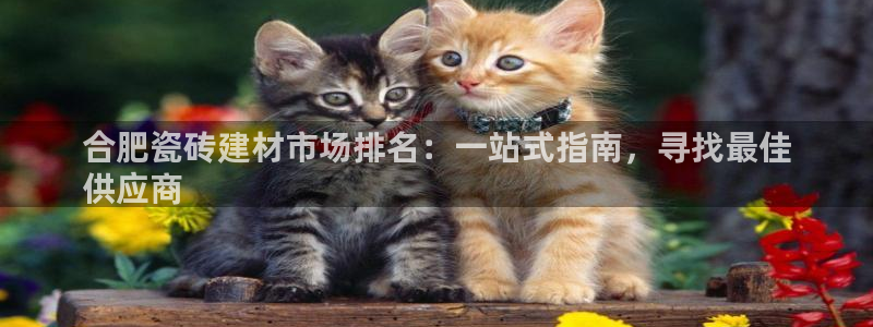 杏鑫平台怎么样黑钱吗知乎