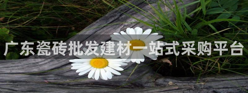 杏鑫手机客户端怎么下载