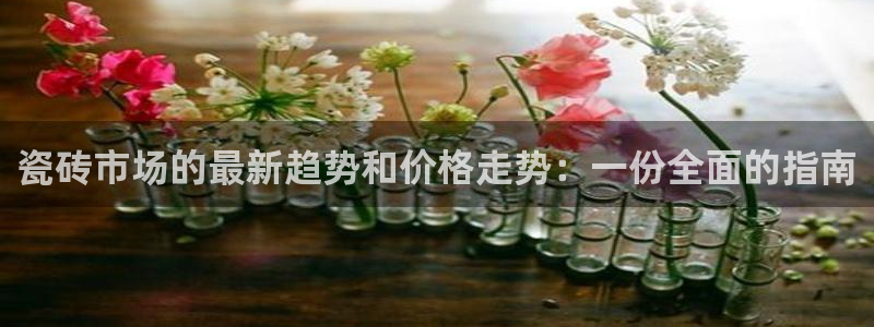 杏鑫平台代理怎么样啊