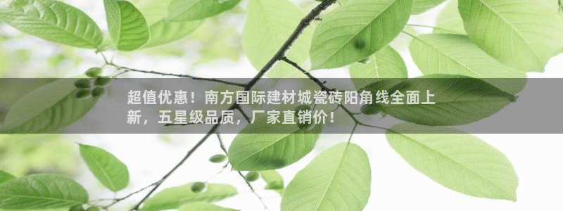 杏鑫平台招商电话