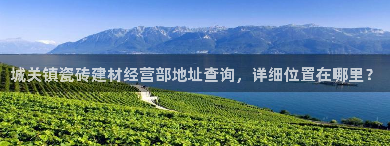杏鑫招商总代
