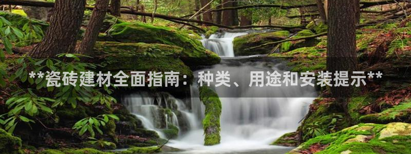 杏鑫平台登陆